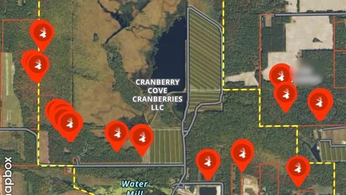 Wisconsin herd inventory - deer population survey and buck to doe ratio analysis